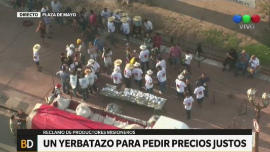 Yerbatazo en Plaza de Mayo: repartirán gratis 30 mil paquetes