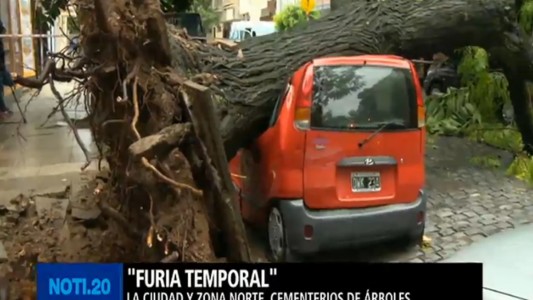 El temporal derribó 47 árboles en Capital y varios quedaron sobre autos estacionados