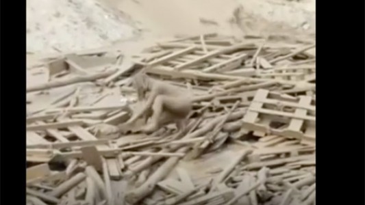 Video impactante: la mujer que emergió de una avalancha de barro en Perú
