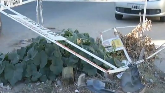 El bache que se transformó en planta de zapallo