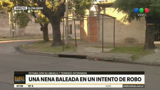 Hieren a una nena de 4 años cuando su abuela quiso impedir un robo