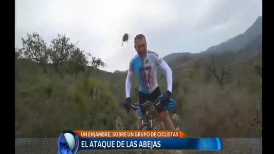 Video: el ataque de abejas a ciclistas
