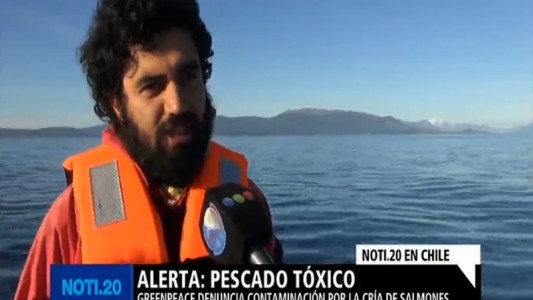 Alerta: pescado tóxico