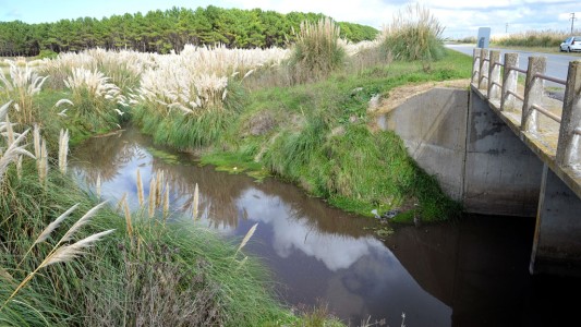 Miramar: investigan si el nene que hallaron muerto y mutilado fue escondido en una heladera