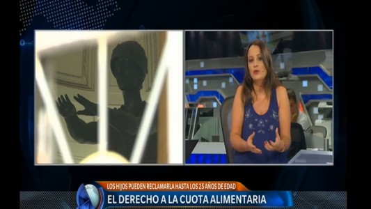 Los hijos pueden reclamar cuota alimentaria hasta los 25 años