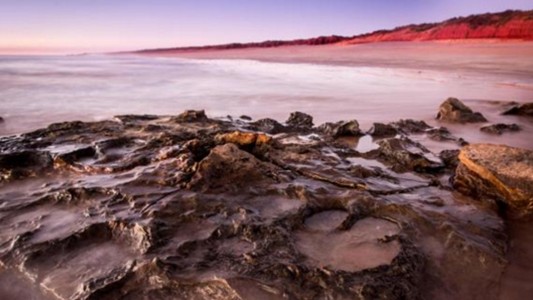 Australia: descubren un increíble yacimiento con 150 huellas de dinosaurios