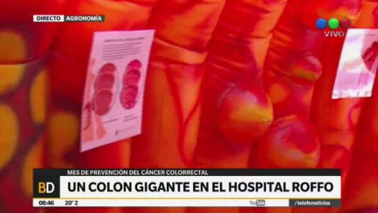 Instalaron un colon gigante para conocer más sobre el cáncer