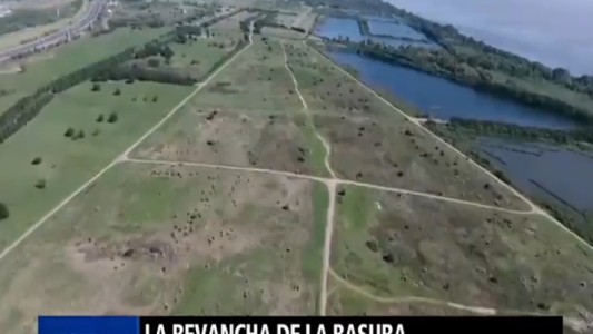 La revancha de la basura