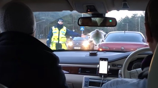 #EsViral Policía distraída hace control de alcoholemia al acompañante y no al conductor