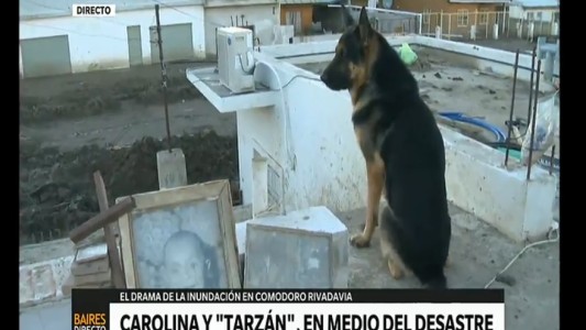 Inundación en Comodoro Rivadavia: el perro que se quedó a cuidar la casa familiar