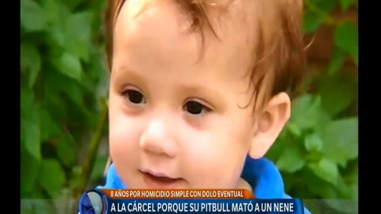 Confirman pena de ocho años de prisión al dueño de un pitbull que mató a un nene de 2 años