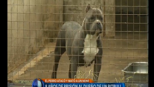 "Lo novedoso es que se enfoque a la responsabilidad del dueño y que no se culpe al animal"