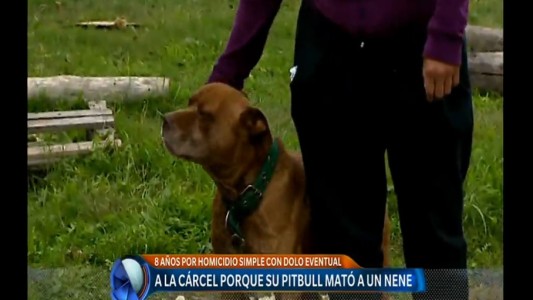 Qué establece la ley de tenencia responsable de perros potencialmente peligrosos