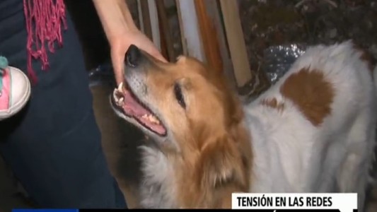 Denuncia, escrache y polémica