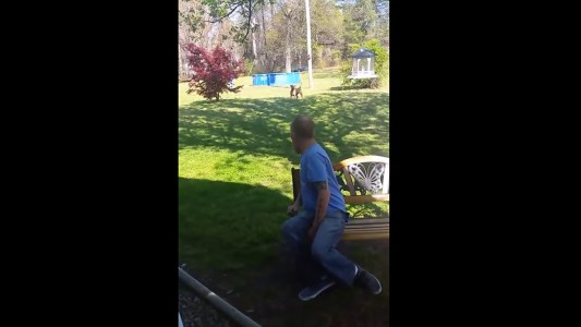 La emocionante reacción de un perro al volver a ver a su dueño