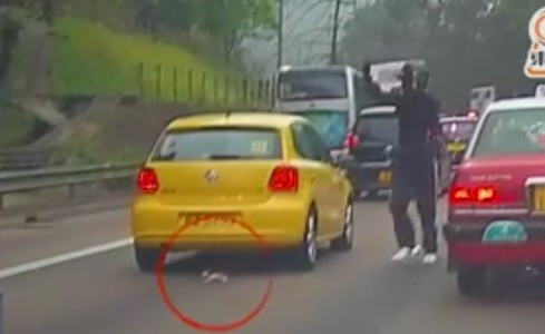 El hombre que paró el tránsito en una autopista de China para salvar a un gato bebé