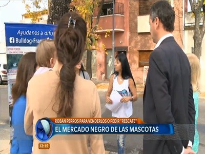 El mercado negro de las Mascotas