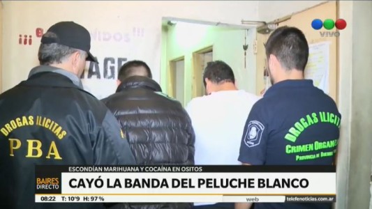 Cayó la banda del peluche blanco