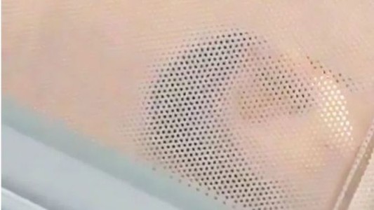 Indignación por una joven que metió a su cobaya en el microondas