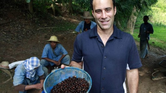 El secreto del café más caro del mundo está en los excrementos de elefantes