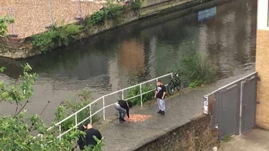 Experimento viral: ¿qué pasa si dejás 15 mil monedas tiradas en la calle?