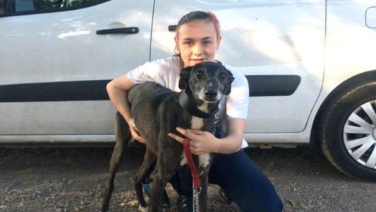 Le robaron el perro y lo encontró tres años después