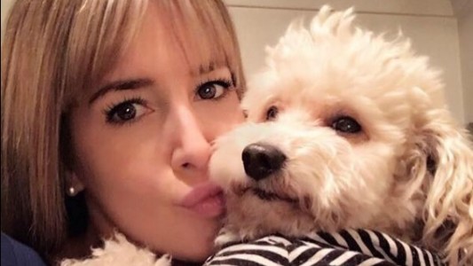 Video indignante: un hombre le pegó una patada brutal a un caniche ciego