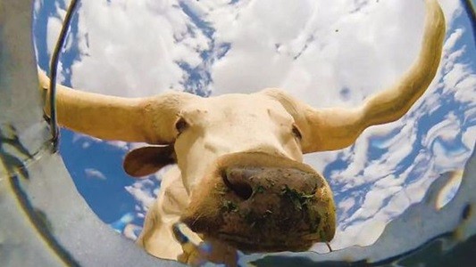 #EsViral Cómo se ve todo desde el fondo de un balde de agua