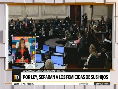 Los casos que incluye la nueva ley que separa a padres violentos de sus hijos