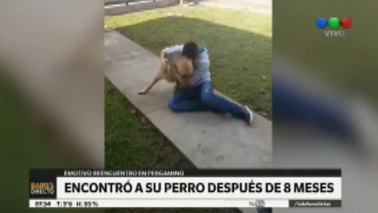 Pergamino: encontró a su perro después de 8 meses