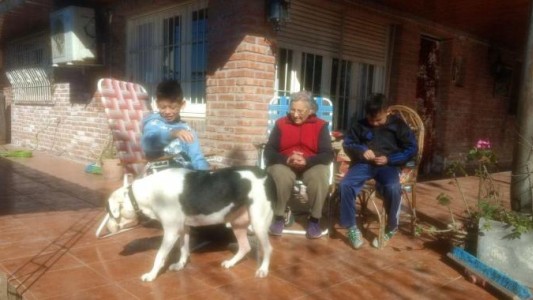 Video emotivo: el reencuentro de una abuela con su perra perdida tras una inundación