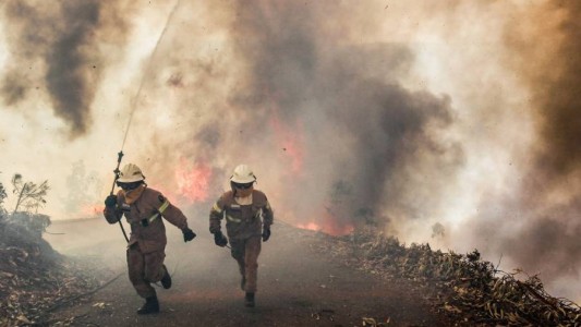 Tragedia en Portugal: al menos 62 muertos por un incendio forestal