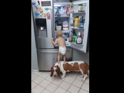 #EsViral Un nene consigue ayuda para asaltar la heladera