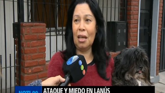Con gritos y golpes, evitó que la secuestren: "Los perros empezaron a ladrar y me salvaron"