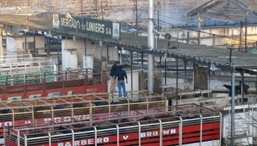 Anunciaron el traslado del Mercado de Liniers a La Matanza