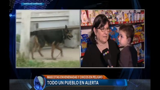 La vecina que patrulla las calles para intentar frenar la matanza de animales