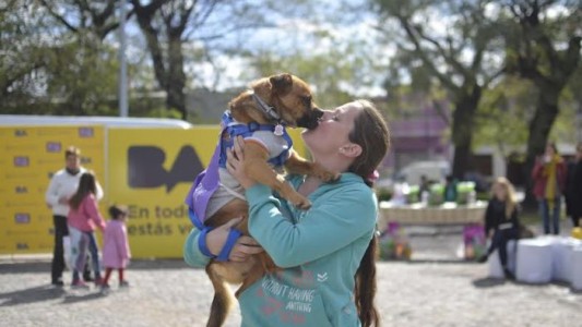 La adopción de perros y gatos creció un 133% en Buenos Aires