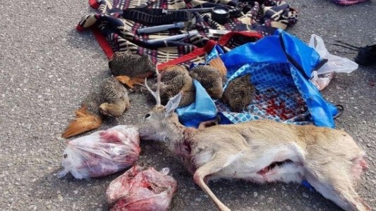 San Luis: multan con $ 200 mil a un cazador de especies en vías de extinción