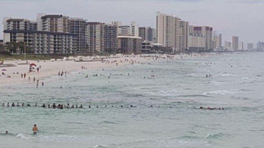 Emocionante: una cadena humana salvó de morir ahogada a una familia en una playa de EE.UU.