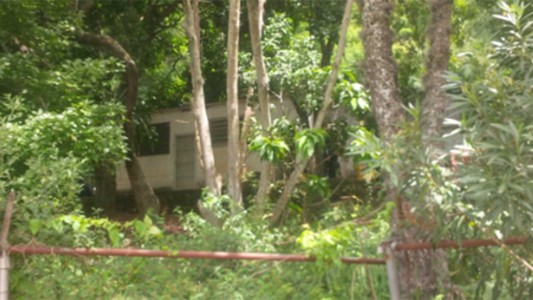 Torturaron y asesinaron a una profesora argentina en Venezuela