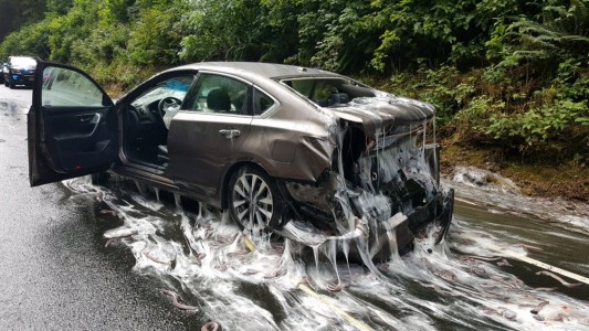 Fotos y video: anguilas salieron volando de un camión y así quedaron los autos en la ruta