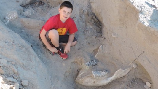 Un nene de 10 años se tropezó y descubrió un fósil de más de un millón de años