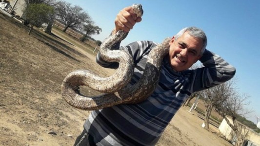 Una familia encontró cinco serpientes gigantes en una escuela de Córdoba