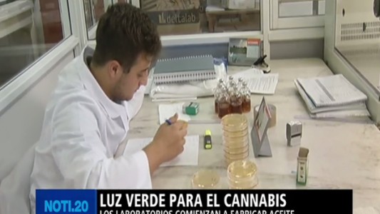 Luz verde para el cannabis medicinal en Santa Fe