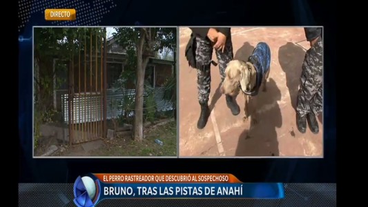 Crimen de Anahí: Bruno, el perro rastreador que llevó hasta el sospechoso