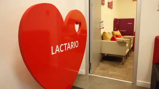 Avanza un proyecto para que funcionen lactarios en shoppings, teatros y museos