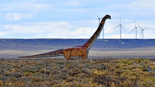 Confirman que el dinosaurio más grande vivió en la Patagonia
