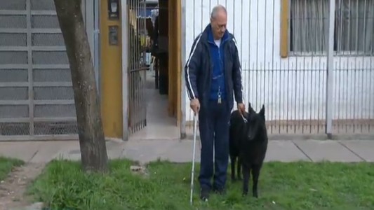 Perros para discapacitados: la ley que no puede esperar