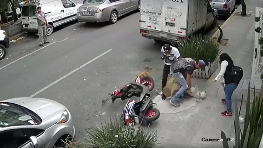 El impactante video de un joven que arriesga su vida para salvar a su perro atacado por un pitbull