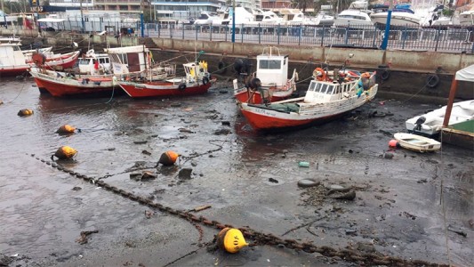 Fotos: bajó el mar en Punta del Este y así quedó el puerto